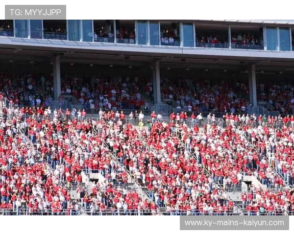 足球球迷从看台摔下