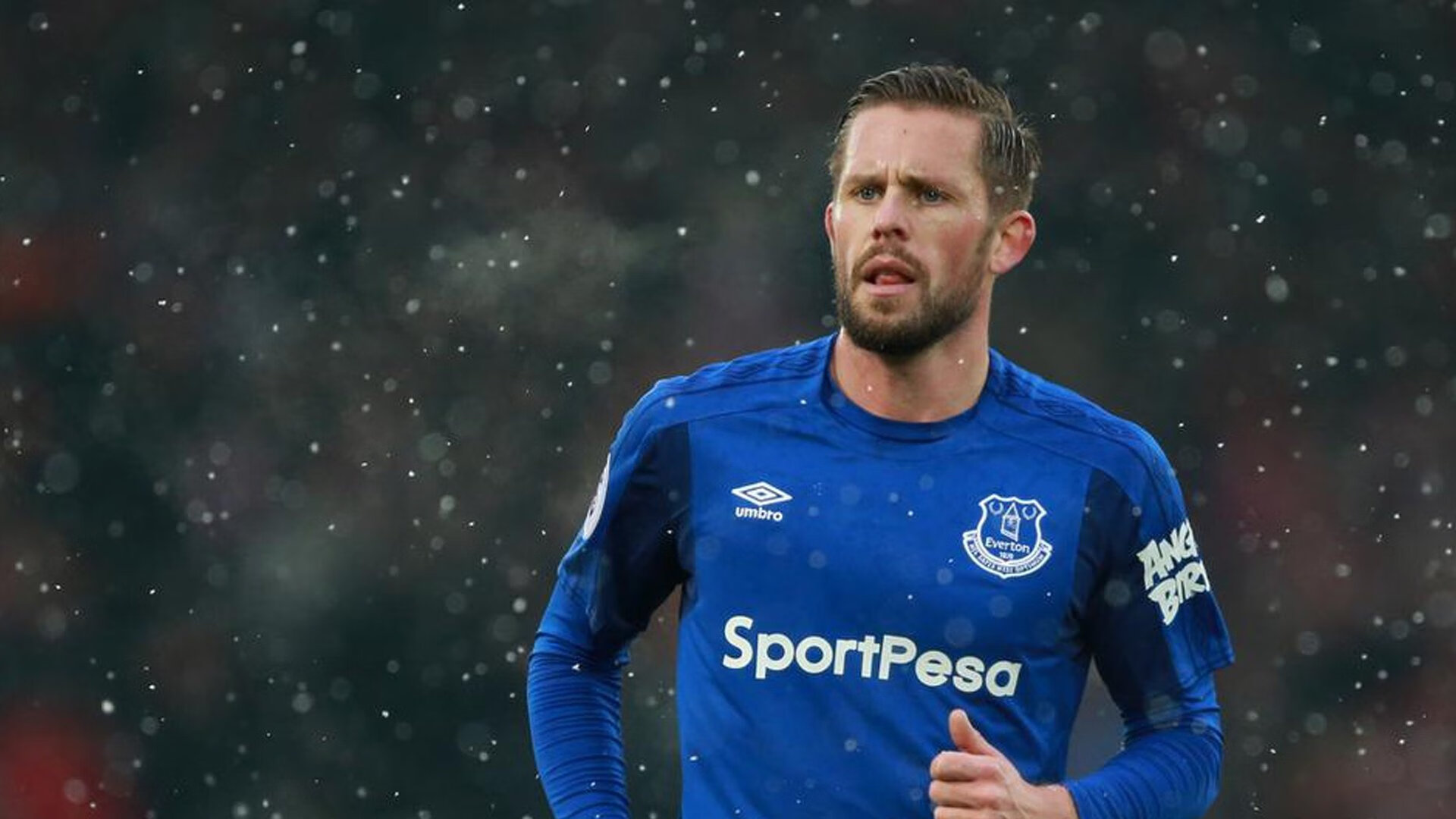 体育产业年度总结